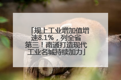 规上工业增加值增速8.1%，列全省第三！南通打造现代工业名城持续加力