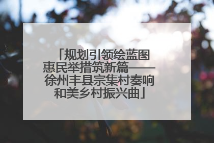 规划引领绘蓝图 惠民举措筑新篇——徐州丰县宗集村奏响和美乡村振兴曲