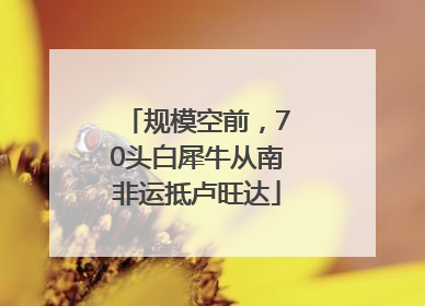 规模空前，70头白犀牛从南非运抵卢旺达