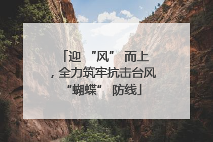 迎 “风” 而上，全力筑牢抗击台风 “蝴蝶” 防线