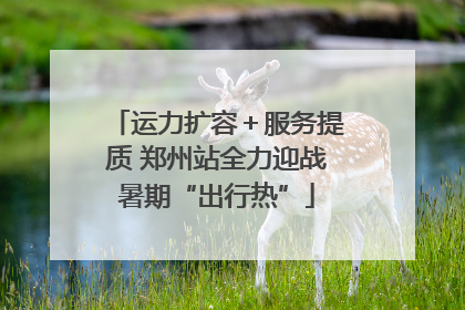 运力扩容＋服务提质 郑州站全力迎战暑期“出行热”