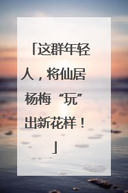 这群年轻人，将仙居杨梅“玩”出新花样！