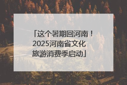 这个暑期回河南！2025河南省文化旅游消费季启动