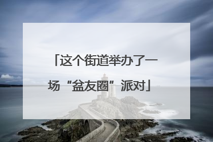 这个街道举办了一场“盆友圈”派对