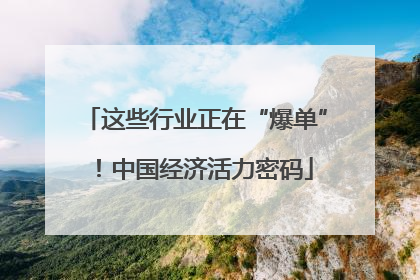 这些行业正在“爆单”！中国经济活力密码