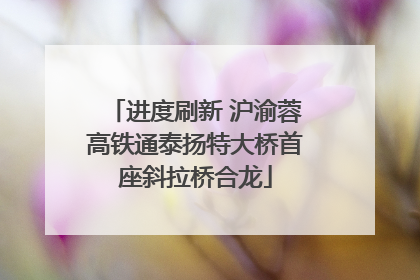 进度刷新 沪渝蓉高铁通泰扬特大桥首座斜拉桥合龙