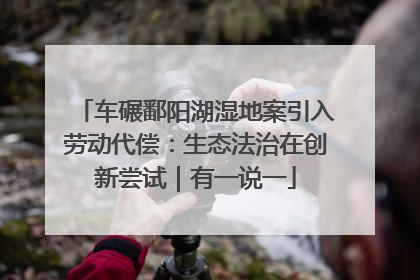 车碾鄱阳湖湿地案引入劳动代偿：生态法治在创新尝试｜有一说一