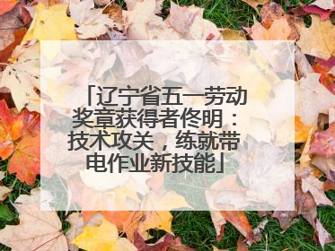 辽宁省五一劳动奖章获得者佟明：技术攻关，练就带电作业新技能