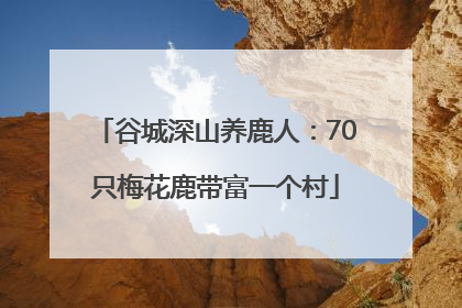 谷城深山养鹿人：70只梅花鹿带富一个村
