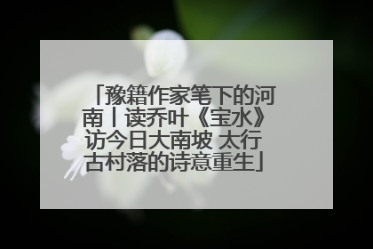 豫籍作家笔下的河南丨读乔叶《宝水》访今日大南坡 太行古村落的诗意重生