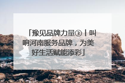 豫见品牌力量③丨叫响河南服务品牌，为美好生活赋能添彩