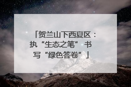 贺兰山下西夏区：执“生态之笔” 书写“绿色答卷”