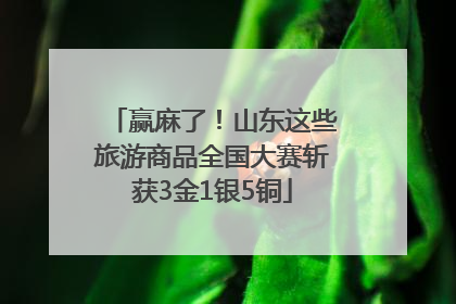 赢麻了！山东这些旅游商品全国大赛斩获3金1银5铜