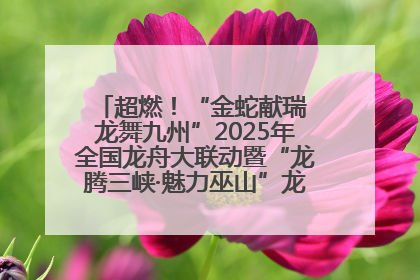 超燃！“金蛇献瑞 龙舞九州”2025年全国龙舟大联动暨“龙腾三峡·魅力巫山”龙舟邀请赛圆满落幕！