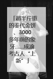 超半斤重的秦代金饼、3000多年前的象牙……成渝考古人“上新”