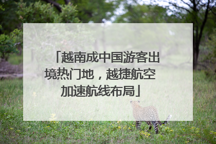 越南成中国游客出境热门地，越捷航空加速航线布局