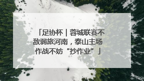 足协杯｜蓉城联赛不敌弱旅河南，泰山主场作战不妨“抄作业”