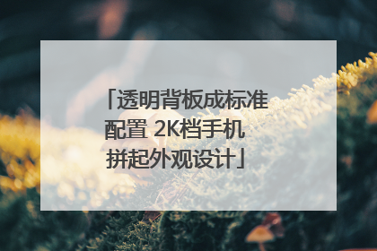 透明背板成标准配置 2K档手机拼起外观设计