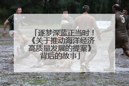 逐梦深蓝正当时！《关于推动海洋经济高质量发展的提案》背后的故事