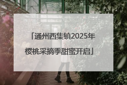 通州西集镇2025年樱桃采摘季甜蜜开启