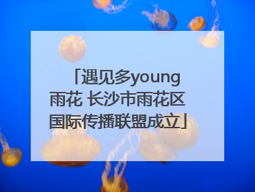 遇见多young雨花 长沙市雨花区国际传播联盟成立
