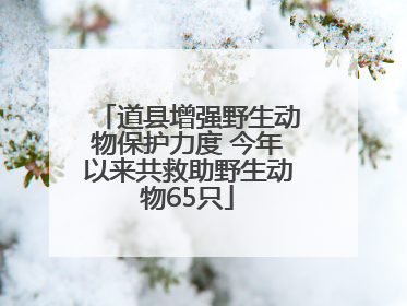 道县增强野生动物保护力度 今年以来共救助野生动物65只