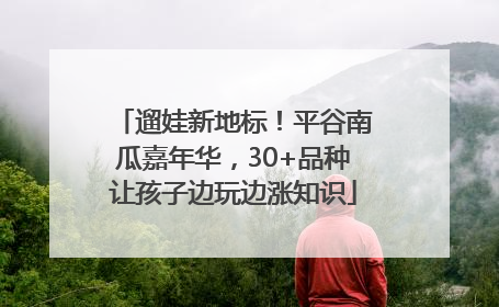 遛娃新地标！平谷南瓜嘉年华，30+品种让孩子边玩边涨知识