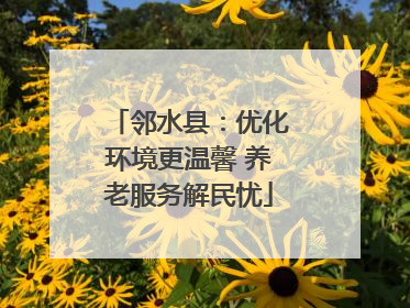 邻水县：优化环境更温馨 养老服务解民忧