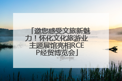 邀您感受文旅新魅力！怀化文化旅游业主题展馆亮相RCEP经贸博览会