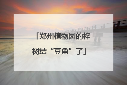 郑州植物园的梓树结“豆角”了