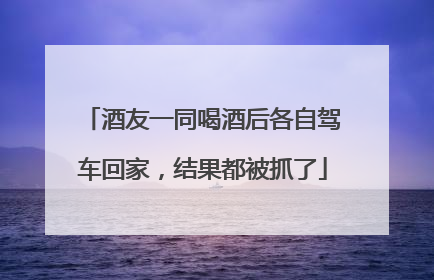 酒友一同喝酒后各自驾车回家，结果都被抓了