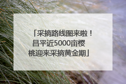 采摘路线图来啦！昌平近5000亩樱桃迎来采摘黄金期