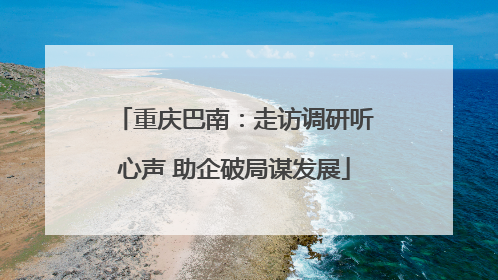 重庆巴南：走访调研听心声 助企破局谋发展
