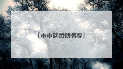 重重谜团锁鸮尊