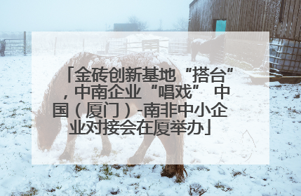 金砖创新基地“搭台”，中南企业“唱戏” 中国（厦门）-南非中小企业对接会在厦举办