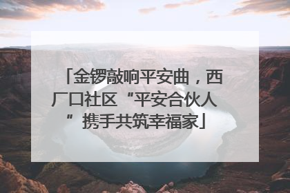 金锣敲响平安曲，西厂口社区“平安合伙人”携手共筑幸福家