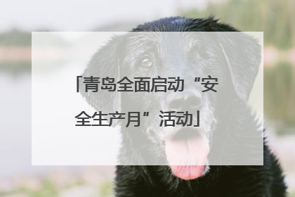 青岛全面启动“安全生产月”活动