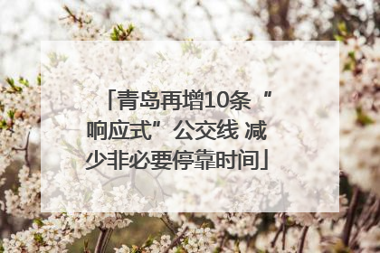 青岛再增10条“响应式”公交线 减少非必要停靠时间