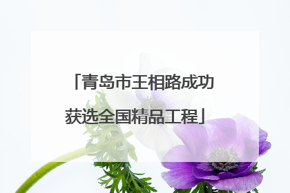 青岛市王相路成功获选全国精品工程
