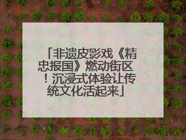 非遗皮影戏《精忠报国》燃动街区！沉浸式体验让传统文化活起来