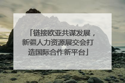 链接欧亚共谋发展，新疆人力资源展交会打造国际合作新平台