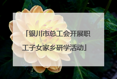 银川市总工会开展职工子女家乡研学活动