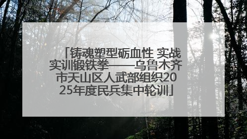 铸魂塑型砺血性 实战实训锻铁拳——乌鲁木齐市天山区人武部组织2025年度民兵集中轮训