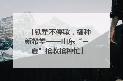 铁犁不停歇，播种新希望——山东“三夏”抢收抢种忙
