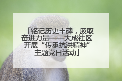 铭记历史丰碑，汲取奋进力量——大成社区开展“传承抗洪精神”主题党日活动