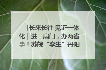 长来长往·见证一体化｜进一扇门，办两省事！苏皖“孪生”丹阳如何做到的？