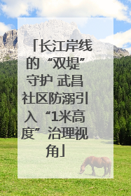 长江岸线的“双堤”守护 武昌社区防溺引入“1米高度”治理视角