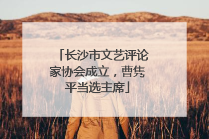 长沙市文艺评论家协会成立，曹隽平当选主席