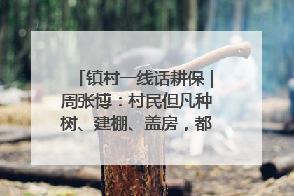 镇村一线话耕保｜周张博：村民但凡种树、建棚、盖房，都要向街道报批