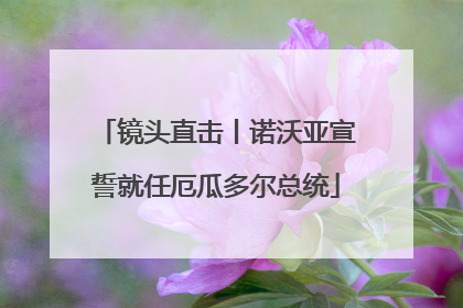 镜头直击丨诺沃亚宣誓就任厄瓜多尔总统